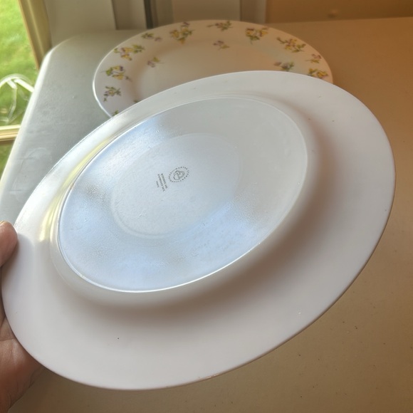 Martha Stewart Everyday 10.5” Vitrelle Floral Set of 2 Plates - Picture 3 of 5